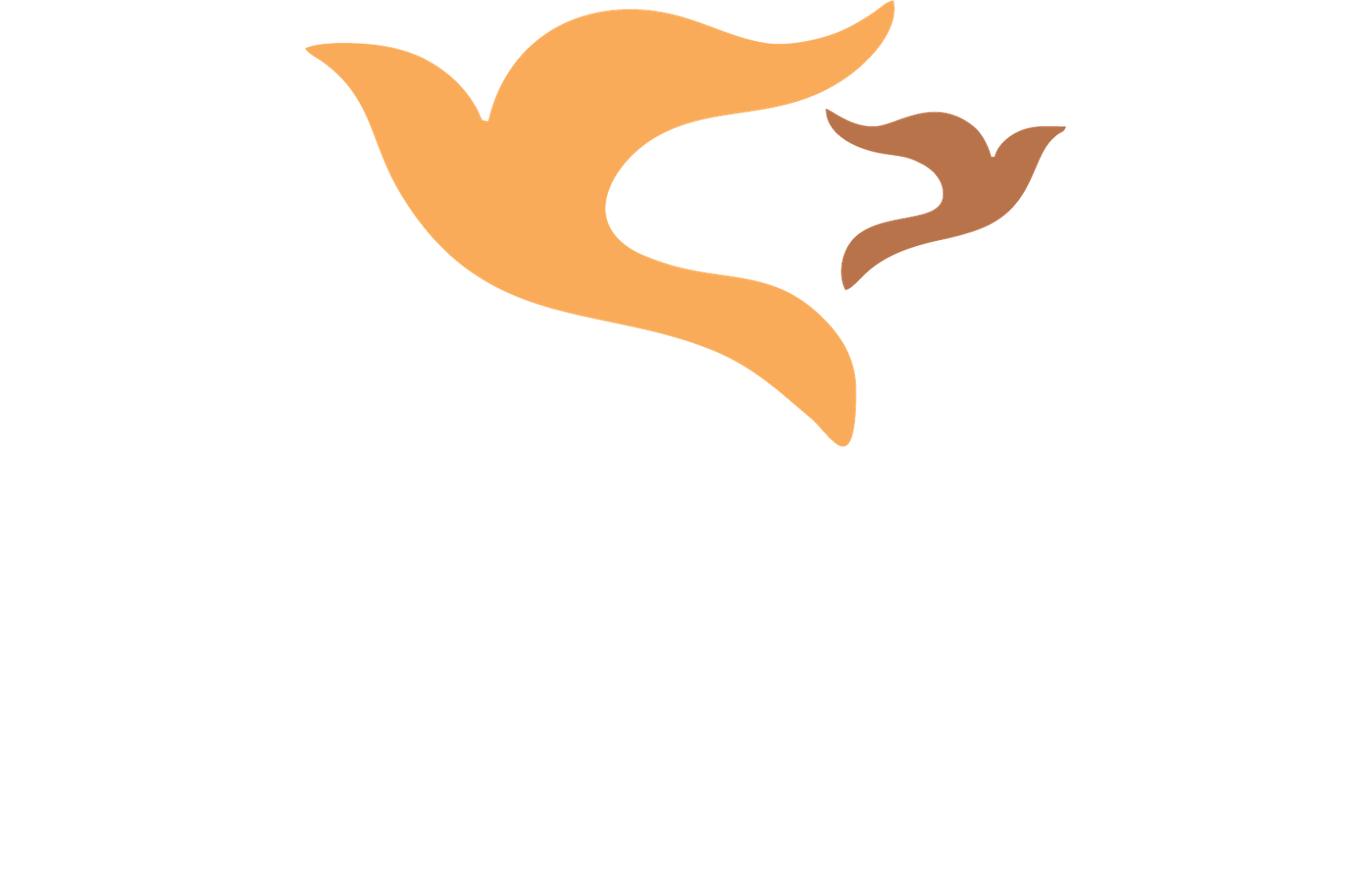 Aldeia dos Sonhos