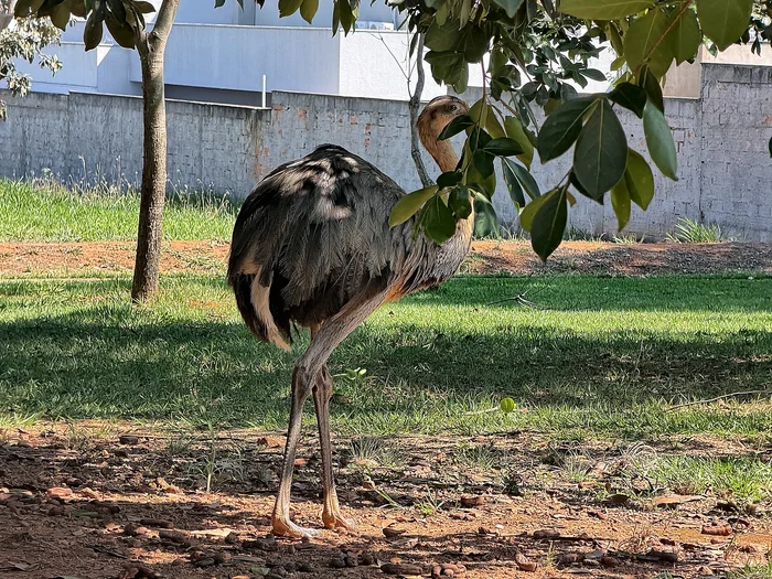 Morar em meio à Natureza