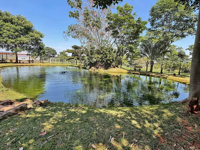 Lago com Espelho d'Água e Pôr do Sol